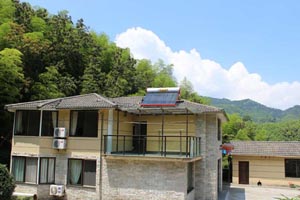 TOP山桩