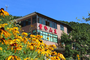 董岭山庄