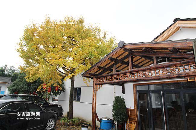 小费饭店